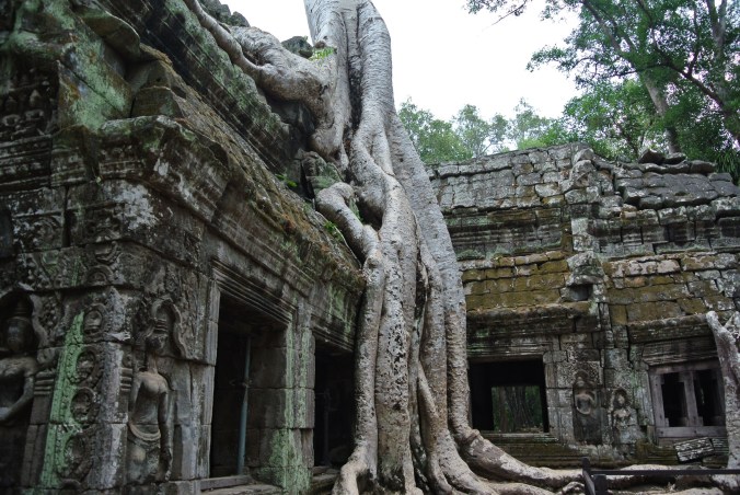 Ta Prohm