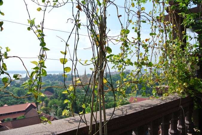 We could see the Royal Palace from our hotel