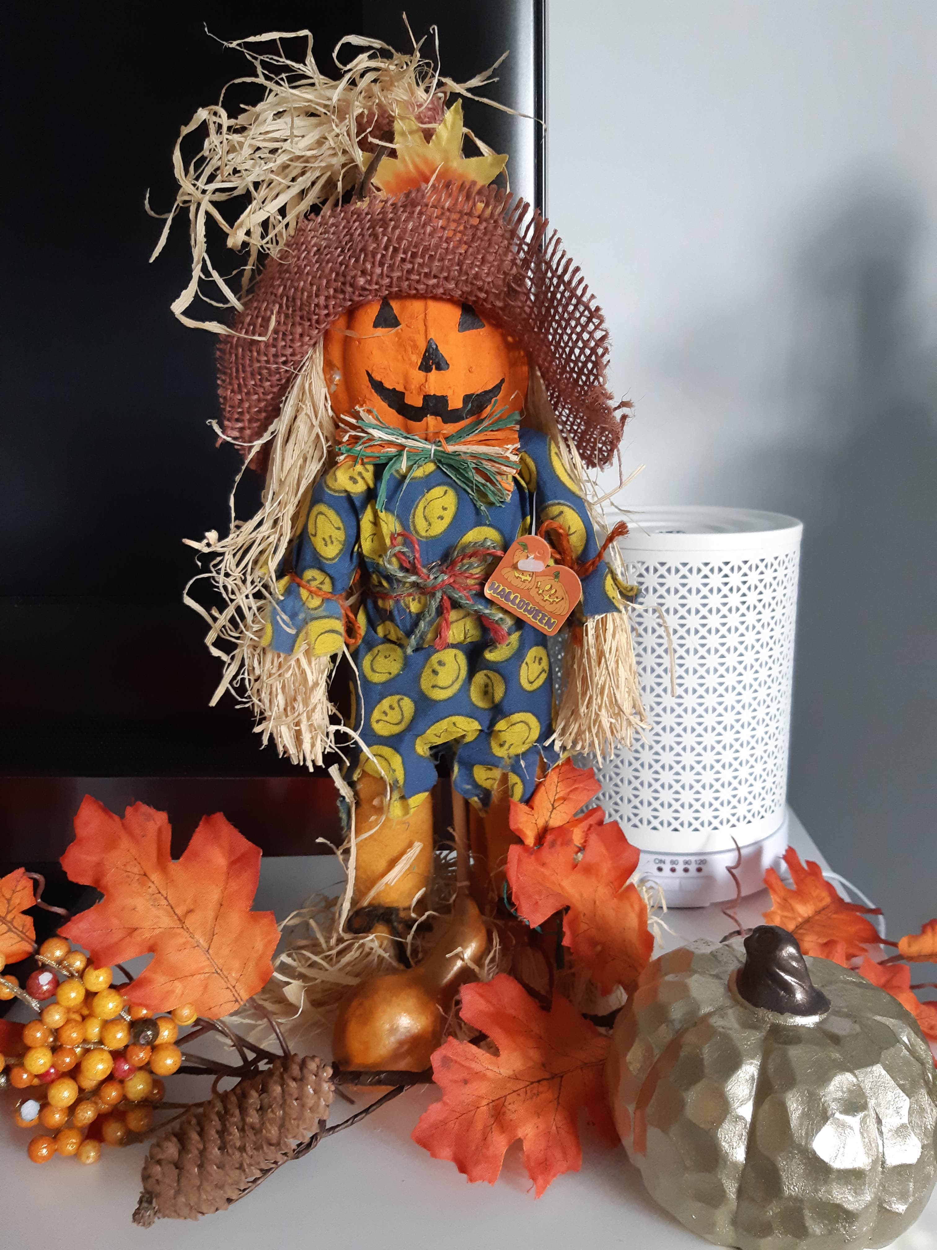 120042744_971241036720564_5092944217527720781_n