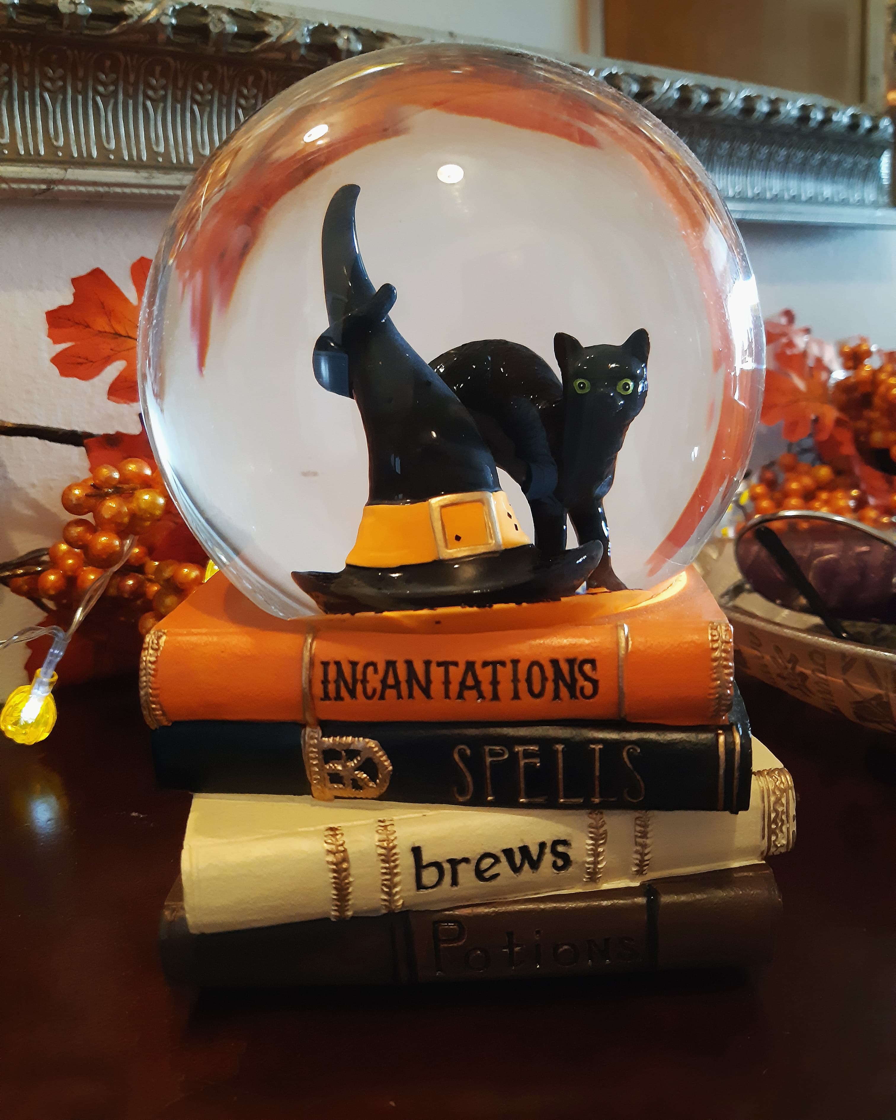 120093613_1818961578264140_8348067546791744567_n