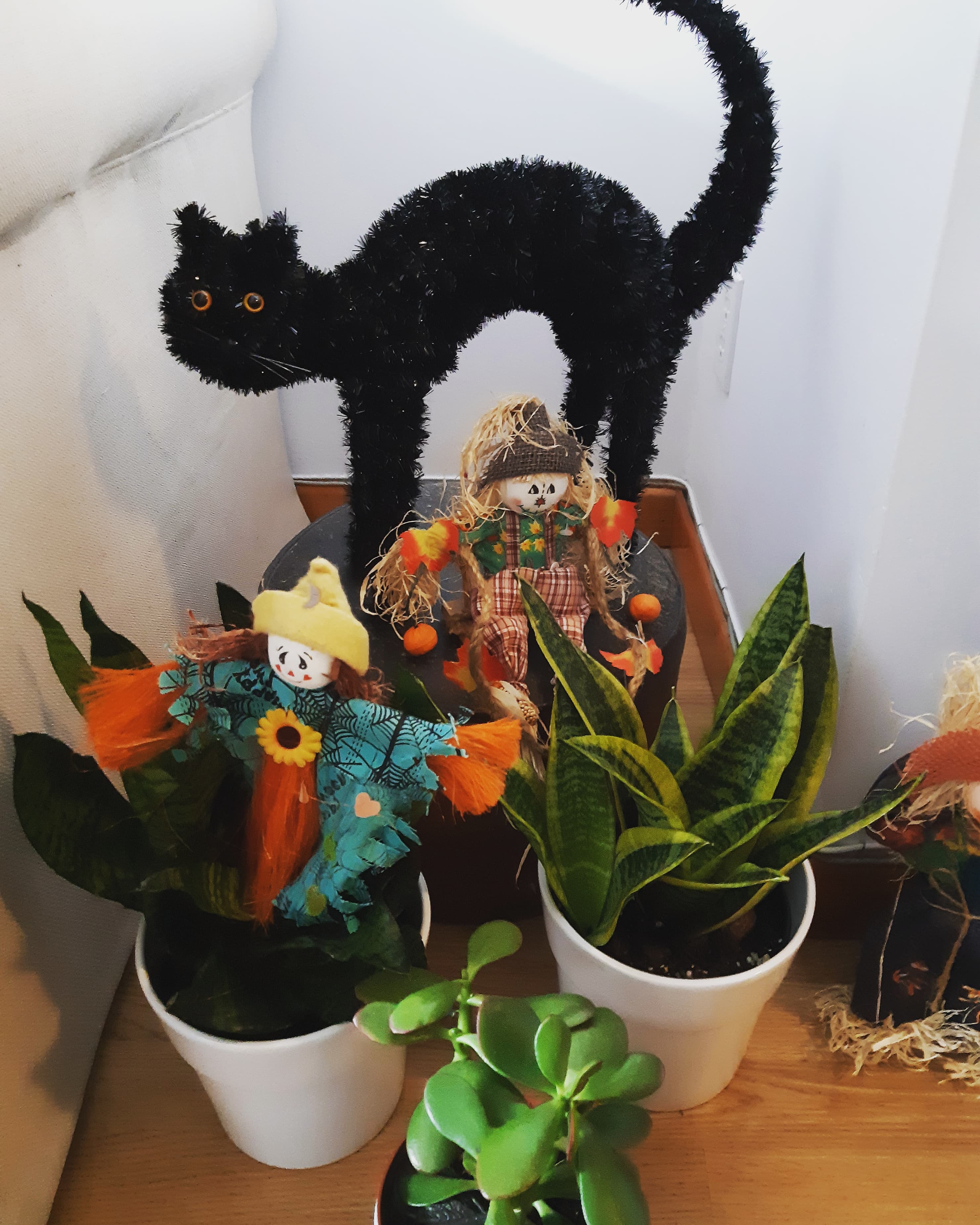 120595907_790050011771845_253722663244312861_n